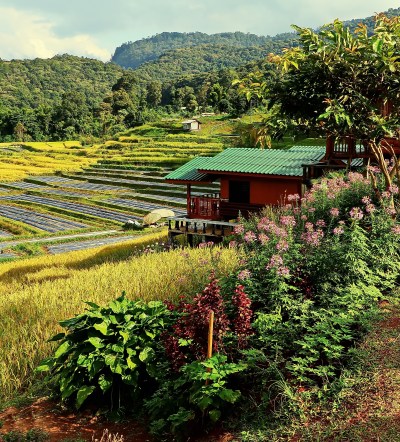 Thailand pic julie nariman