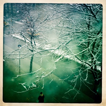 Snowing in the Bronx